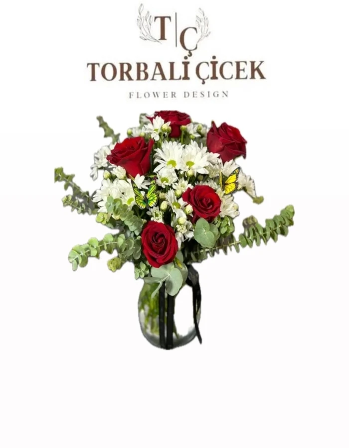 VAZODA 5 GÜL PAPATYA